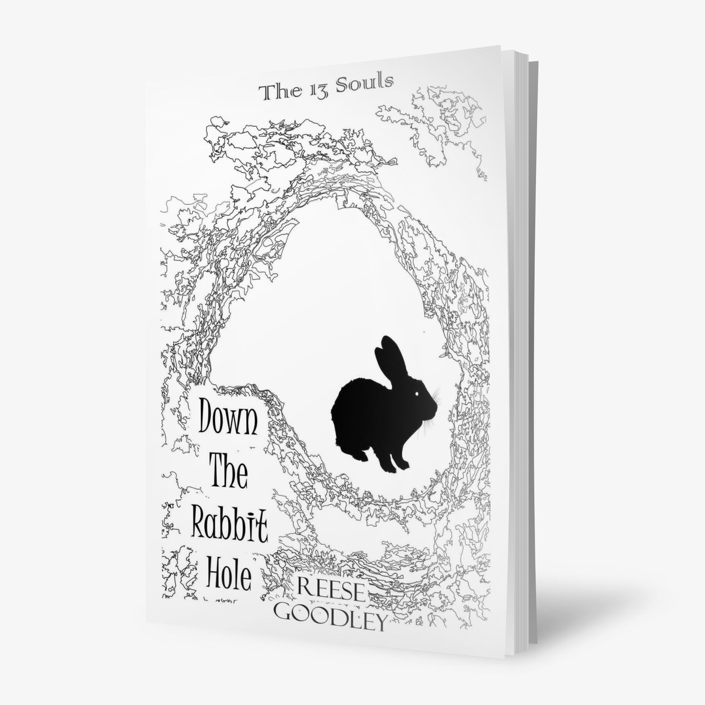 Down the Rabbit Hole by Reese Goodley